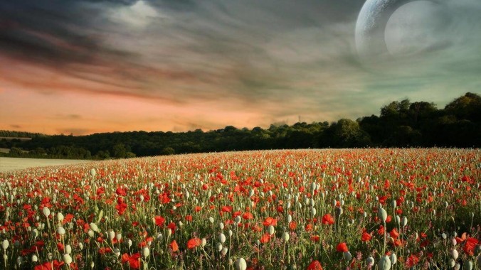 在大型项目上，J***aScript 是个烂语言吗？